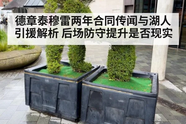 德章泰穆雷两年合同传闻与湖人引援解析 后场防守提升是否现实
