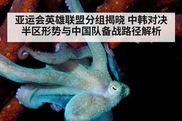 亚运会英雄联盟分组揭晓 中韩对决半区形势与中国队备战路径解析