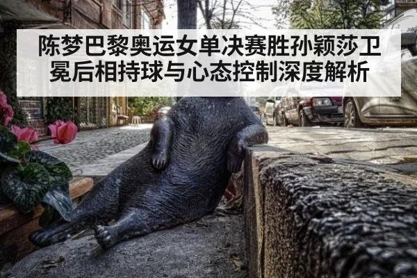 陈梦巴黎奥运女单决赛胜孙颖莎卫冕后相持球与心态控制深度解析